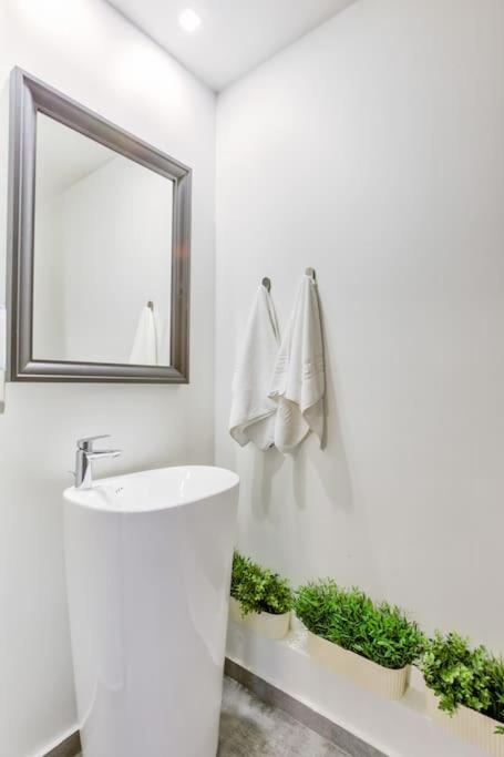 Splendor 3 Bedroom Flat In Silver Mountain Brassópojána Kültér fotó