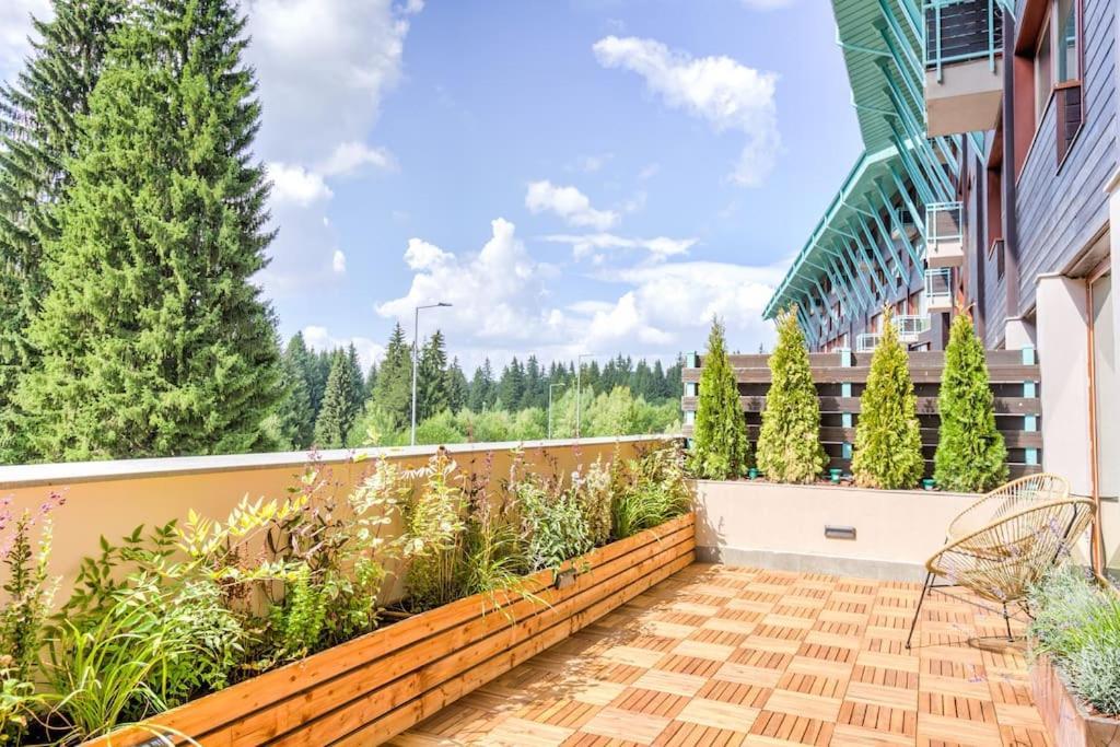 Splendor 3 Bedroom Flat In Silver Mountain Brassópojána Kültér fotó