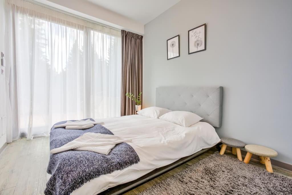 Splendor 3 Bedroom Flat In Silver Mountain Brassópojána Kültér fotó